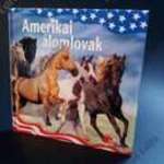 Amerikai álomlovak Pony Club kiadás fotó
