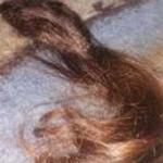 Haj eladó szőkés barna szìnű potlásnak fotó