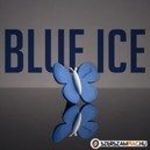 Illatosító pillangó Blue Ice fotó