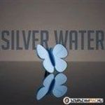 Illatosító pillangó Silver Water fotó