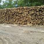 Export Minőségű kályhakész tűzifa. fotó