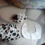 Dalmatin kutyus jelmez farsangra 104-110cm fotó