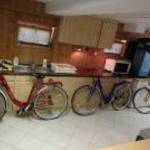 Caprine Nexus agyváltós és Nelson Altrix kerékpárok eladók fotó
