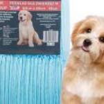 Szobatisztasági szőnyeg kutyáknak 60x60 - 40db fotó