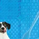 Tapadókorongos etetőtálca kutyáknak (kék) - Purlov fotó