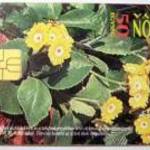 Telefonkártya 1995/10 - Cifra Kankalin fotó
