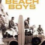 THE BEACH BOYS - HITS OF THE BEACH BOYS (2002) fotó