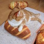 3D kenyér alakú párna, 20 cm fotó