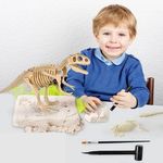 Régészeti ásatás készlet, dínó kövület feltáró szett - T-rex fotó