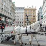 Fedezd fel Bécset!Városnézés & shoppingolás 3 nap 2 éj 2+2 fő reggelivel fotó