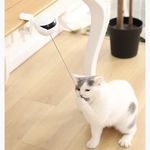 Elektromos macskajáték, a cica yo-yo! fotó