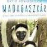 Madagaszkár (2011)-eredeti dvd-bontatlan! fotó