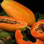 Papaya 5 db mag nagyobb termésű változat fotó