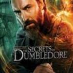 Legendás állatok és megfigyelésük- Dumbledore titkai-fémdoboz ("Character" steelbook) (BD+ fotó