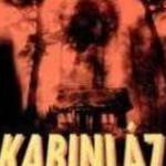 Kabinláz (2002)-eredeti dvd-bontatlan! fotó