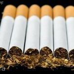 "Viginia Tobacco"Virginiai Dohány magok!Friss 50db mag fotó