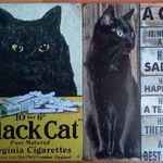 Még több fekete macska vásárlás