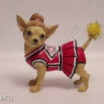 Aye Chihuahua - Pom-pom Lány fotó