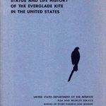 Status and wildlife history of the everglade kite in the united states (A Vöröskánya-populáció jelen fotó