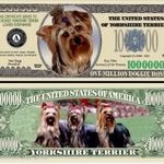 Yorkshire Terrier Kutya 1 millió dollár emlékpénz UNC No.213 fotó