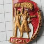 1939 -1959 Szovjetunió Mezőgazdasági Kiállítás VSHV aranykalászos zománcozott jelvény fotó
