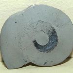 FOSSZÍLIA Ammonitesz (Jura időszak 201, 3-145 millió év) látványos csiszolt ammonitesz fotó