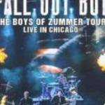 FALL OUT BOY - THE BOYS OF ZUMMER TOUR (LIVE IN CHICAGO) (2016) DVD fotó