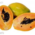Öntermő papaya 5 db mag már második évben teremhet szélvédett helyre ültetve fotó