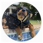Rottweiler 5 kör alakú üveg óra falióra fotó