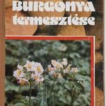 A BURGONYA TERMESZTÉSE - MEZŐGAZDASÁGI, 1979 !!! fotó