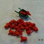 Lego gyümölcsök elem csomag: 25 db piros alma+talicska váz összeállítás! Új! & fotó