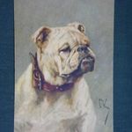 Képeslap, artist, grafikai, művészet, állatok, kutya , buldog, 1920- fotó