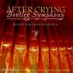 After Crying - Bootleg Symphony (CD) fotó