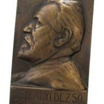Juhász Gyula: Szilágyi Dezső /1908/ ÉKE által tagjainak olcsón közvetített plakett fotó