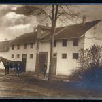 Makó, Gazdasági Népiskola, tangazdaság, ló, eke, mezőgazdaság, helytörténet, 1920-as évek, Eredet... fotó
