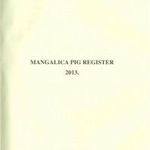 Mangalica Pig Register 2013 fotó