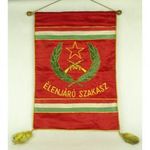 1F888 Régi szocialista Élenjáró Szakasz katonai zászló 46 x 55 cm fotó