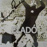 Aranycsapat Grosics Gyula dedikált aláírt fénykép a legendás angol-magyarról 6: 3. futball labda foci fotó