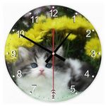 Perzsa macska 27 kör alakú üveg óra falióra fotó