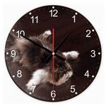 Perzsa macska 30 kör alakú üveg óra falióra fotó