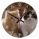 Perzsa macska 31 kör alakú üveg óra falióra fotó