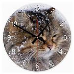 Perzsa macska 39 kör alakú üveg óra falióra fotó
