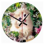 Perzsa macska 51 kör alakú üveg óra falióra fotó