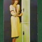 Kártyanaptár, Metakémia ipari szövetkezet, Körösladány, öltözőszekrény, női modell, 1982, , B, fotó