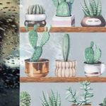 Kaktusz sztatikus üvegdekor ablakfólia 67, 5cmx15m fotó