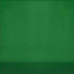 vidaXL zöld háttértartó állványrendszer 600 x 300 cm fotó