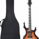 vidaXL barna és fekete elektromos gitár kezdőknek puhatokkal 4/4 39" fotó
