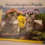 Puzzle Ravensburger, cicás, 200 darabos fotó