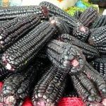 Perui csemege Kukorica (Black Aztec)!3db mag!Ritkaság! fotó