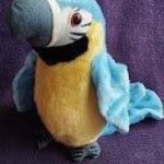 Hangutánzó papagáj Kék színben! fotó